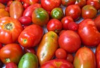 Store and Preserve Garden Tomatoes at Season’s End