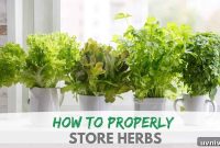 How to Store Fresh Herbs to Make Them Last Longer
