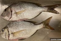 How to Clean and Gut a Whole Fish for Cooking