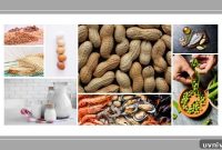 Allergen-Free Meal Planning: Practical Strategies for Every Kitchen
