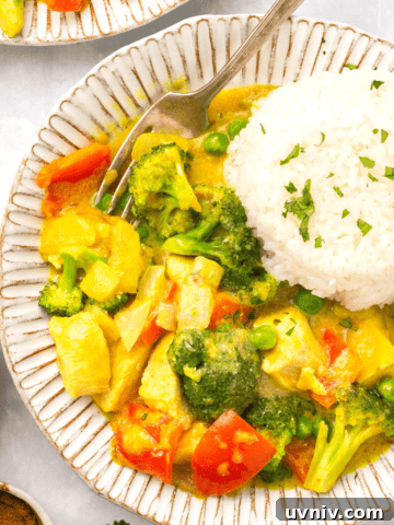 A bowl of mango chicken curry topped with white rice and garnished with cilantro.
