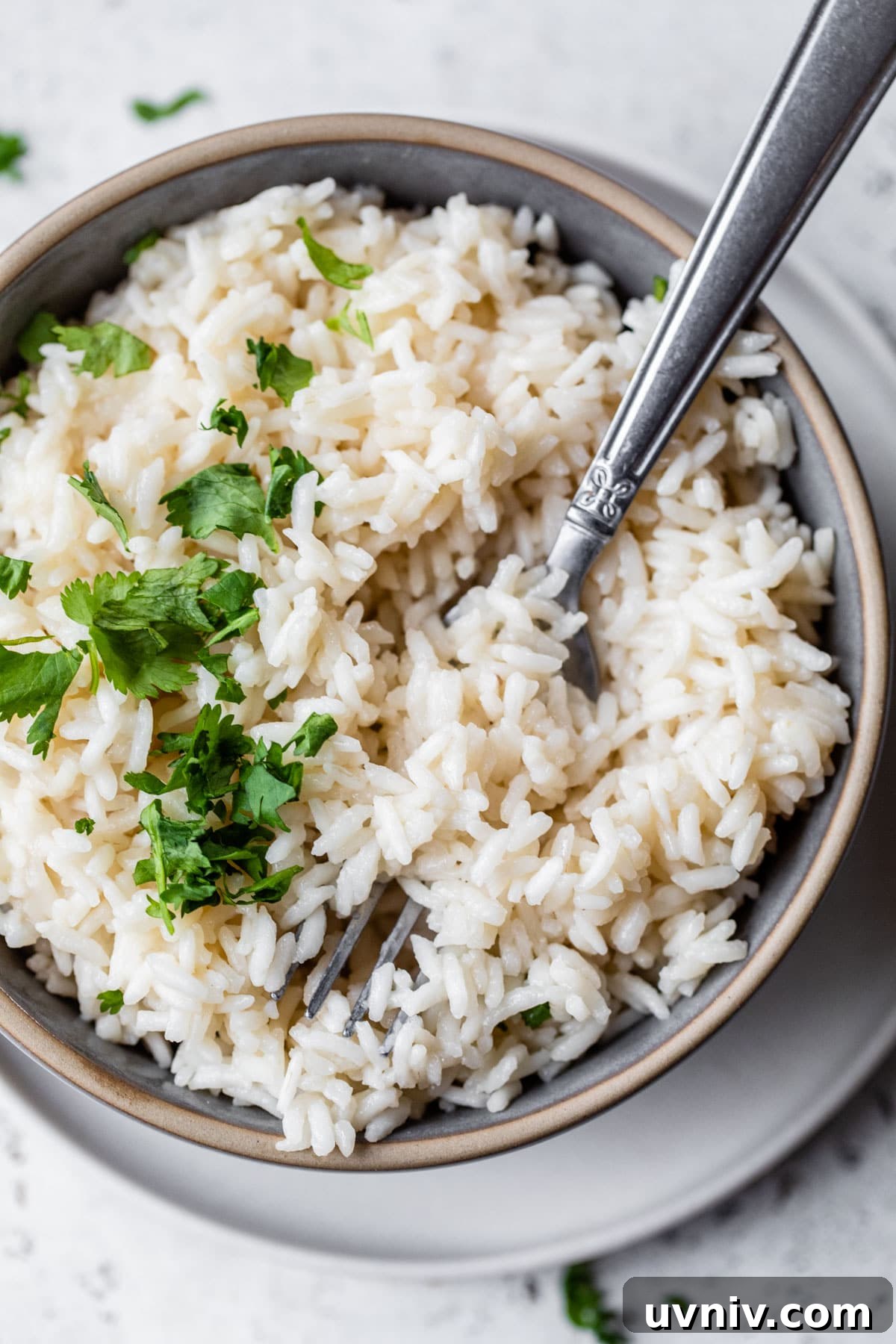 a bowl of coconut rice topped with cilantro and with a fork in the bowl