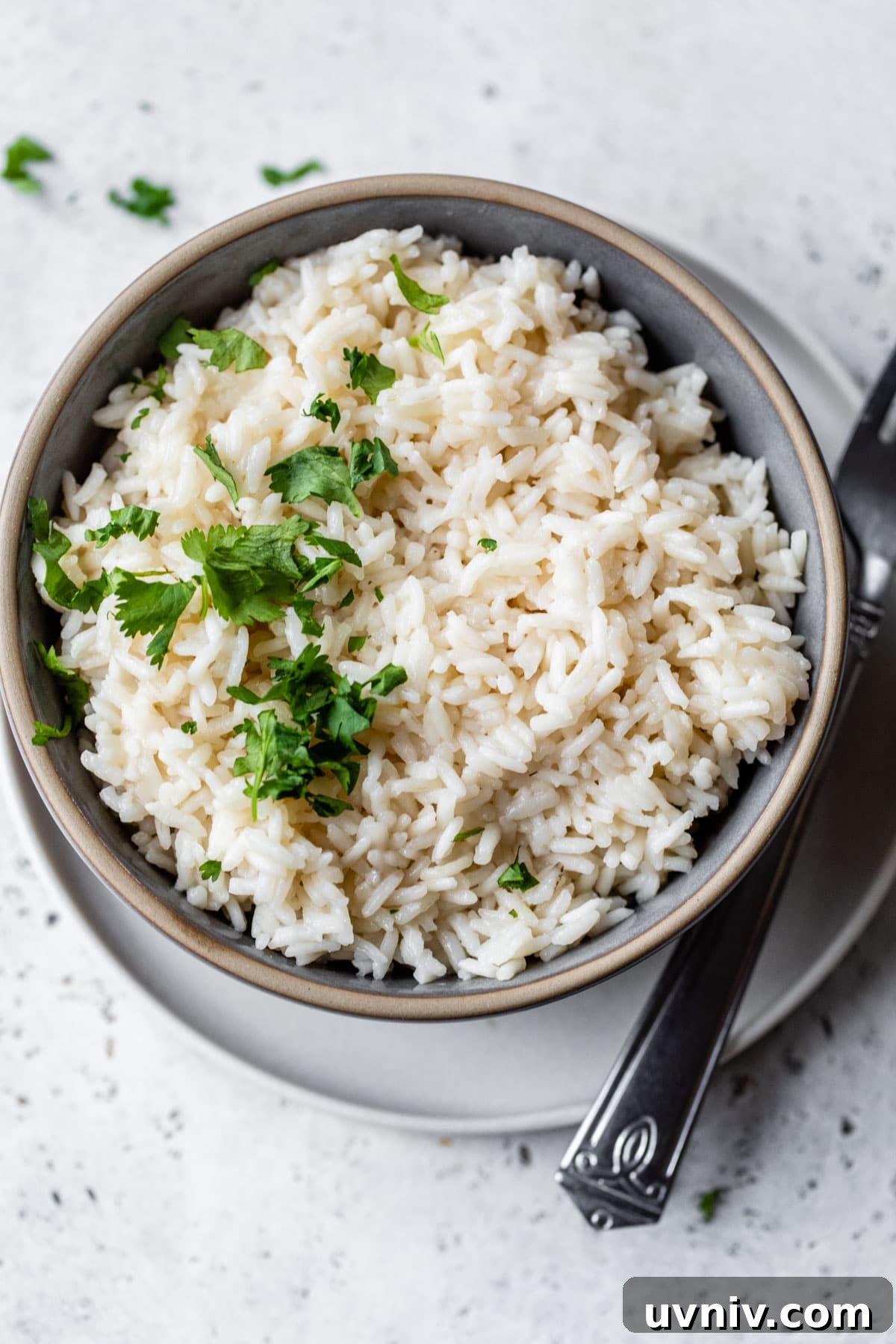 a bowl of white rice topped with cilantro