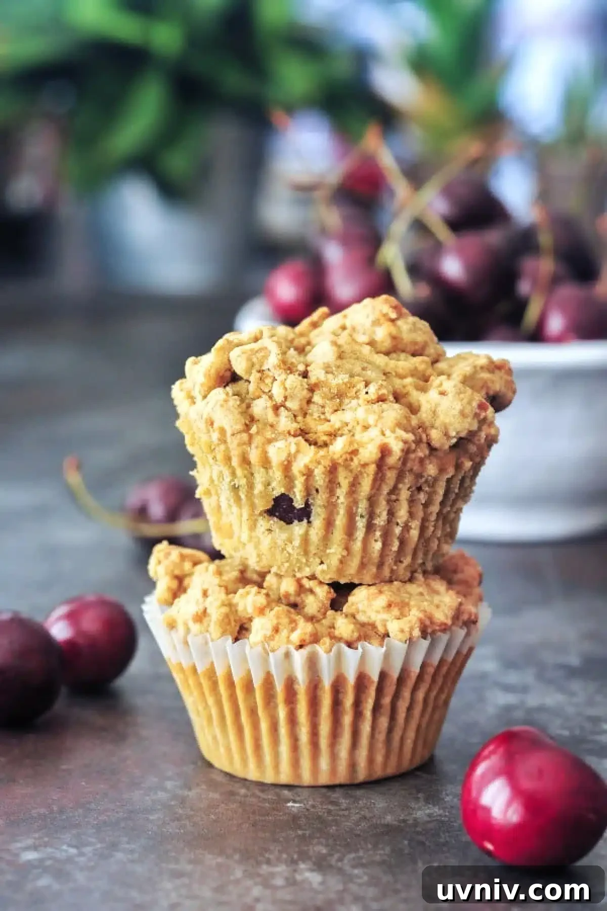 Cherry Zucchini Crumb Muffins @spabettie #glutenfree #vegan Two cherry zucchini muffins stacked one on top of another, with a bowl of fresh cherries in the background.
