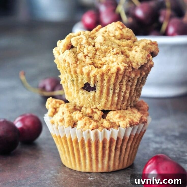 Two cherry zucchini muffins stacked one on top of another, with a bowl of fresh cherries in the background.