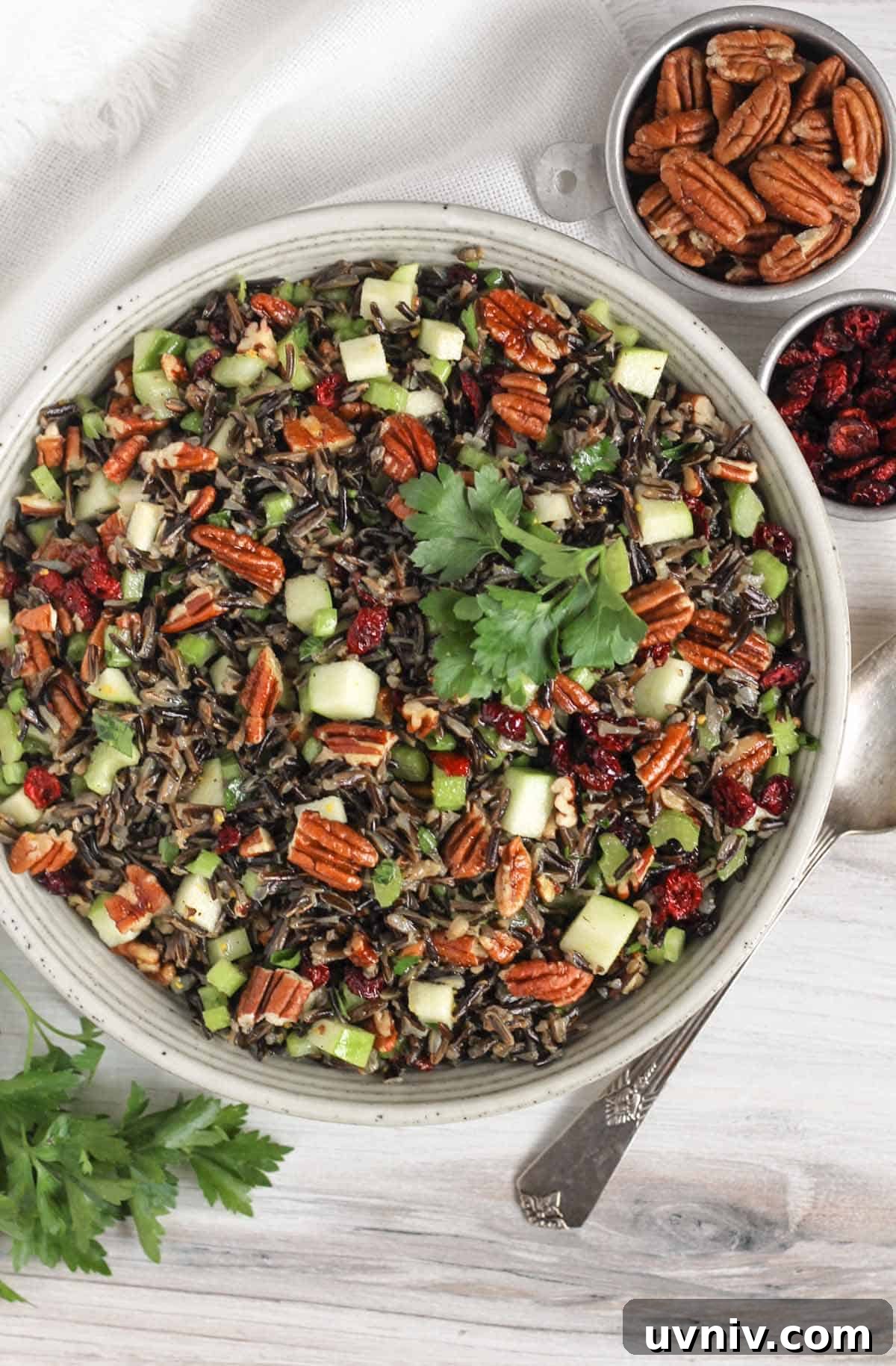 Wild Rice Salad with Cranberries & Pecans — Chilled Side Dish 2 Wild rice salad in a ceramic serving bowl with a vintage serving spoon in the salad and a small dish of dried cranberries and pecans on the side.