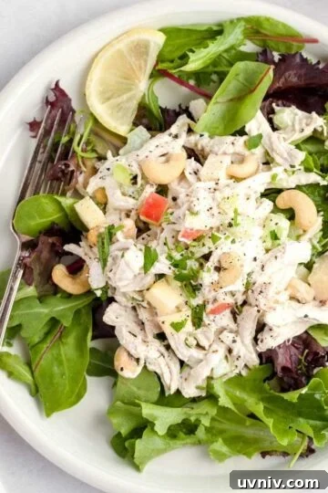 Chicken cashew salad on a bed of spring mix.