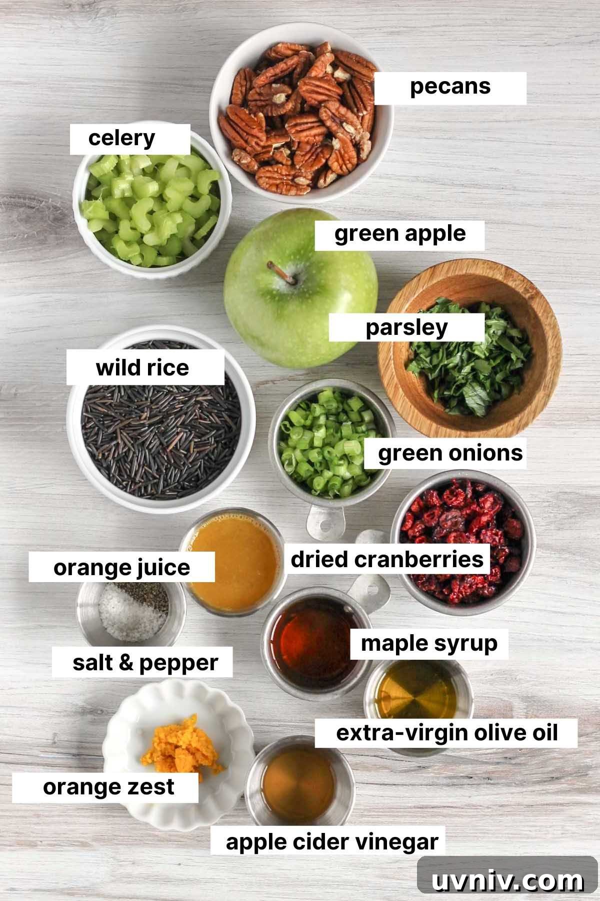 Wild Rice Salad with Cranberries & Pecans — Chilled Side Dish 3 Labeled ingredients for cold wild rice salad.