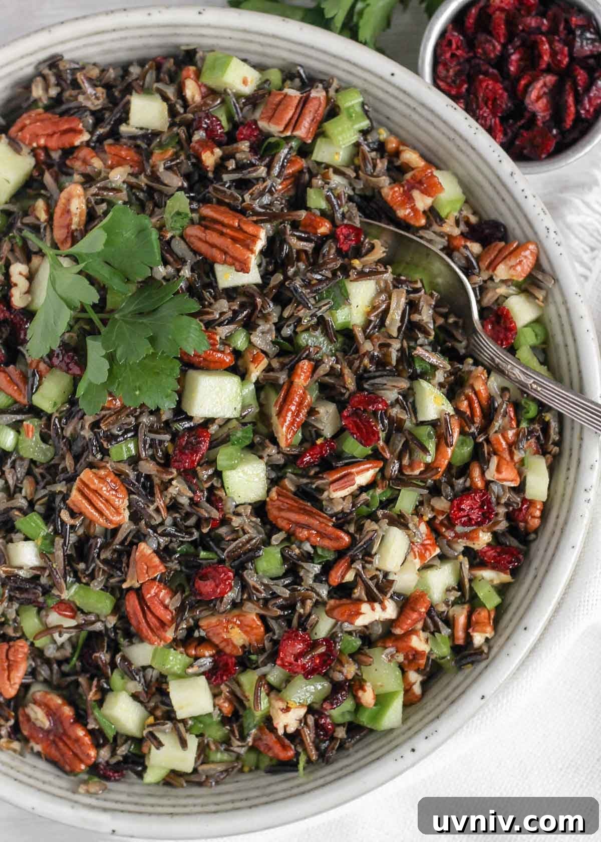 Wild Rice Salad with Cranberries & Pecans — Chilled Side Dish 4 Wild rice salad in a ceramic serving bowl with a vintage serving spoon in the salad and a small dish of dried cranberries on the side.