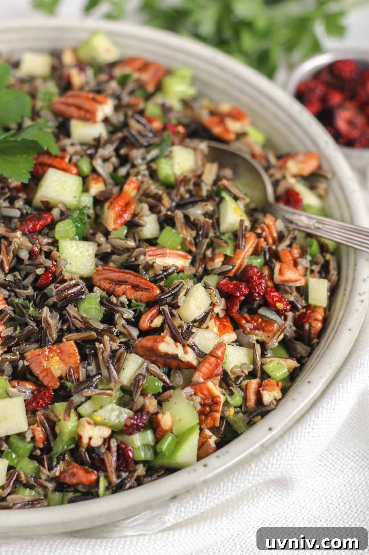 Wild Rice Salad with Cranberries & Pecans — Chilled Side Dish 10 Cold wild rice salad with a vintage serving spoon in a ceramic serving bowl.