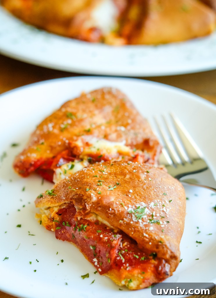 Crispy Air Fryer Pizza Ring Recipe for Quick Weeknight Meals 2 air fryer pizza ring