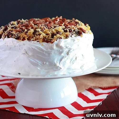 Amalgamation cake with raisins and coconut.