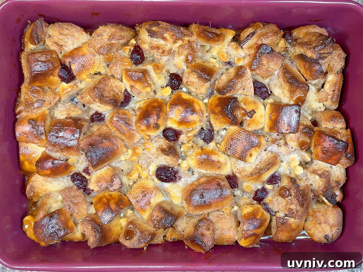 White Chocolate Cranberry Bread Pudding Recipe for Holidays 9 Baked Cranberry Bread Pudding right after it has come out of the oven.