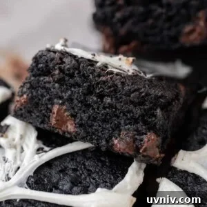 Slice of lack cocoa powder brownie recipe