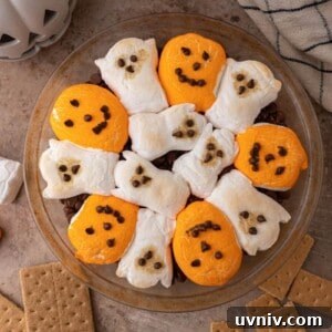chocolate chips in a baking dish with marshmallows on top fully baked