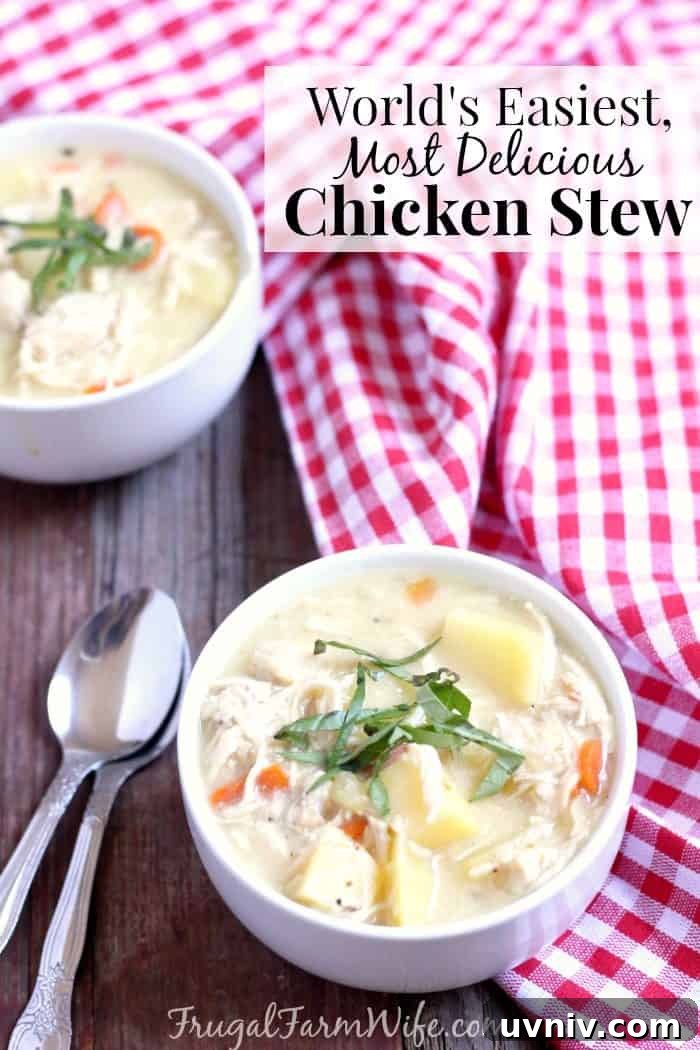 Image shows a bowl of chicken stew next to a red and white tablecloth, with text that reads 