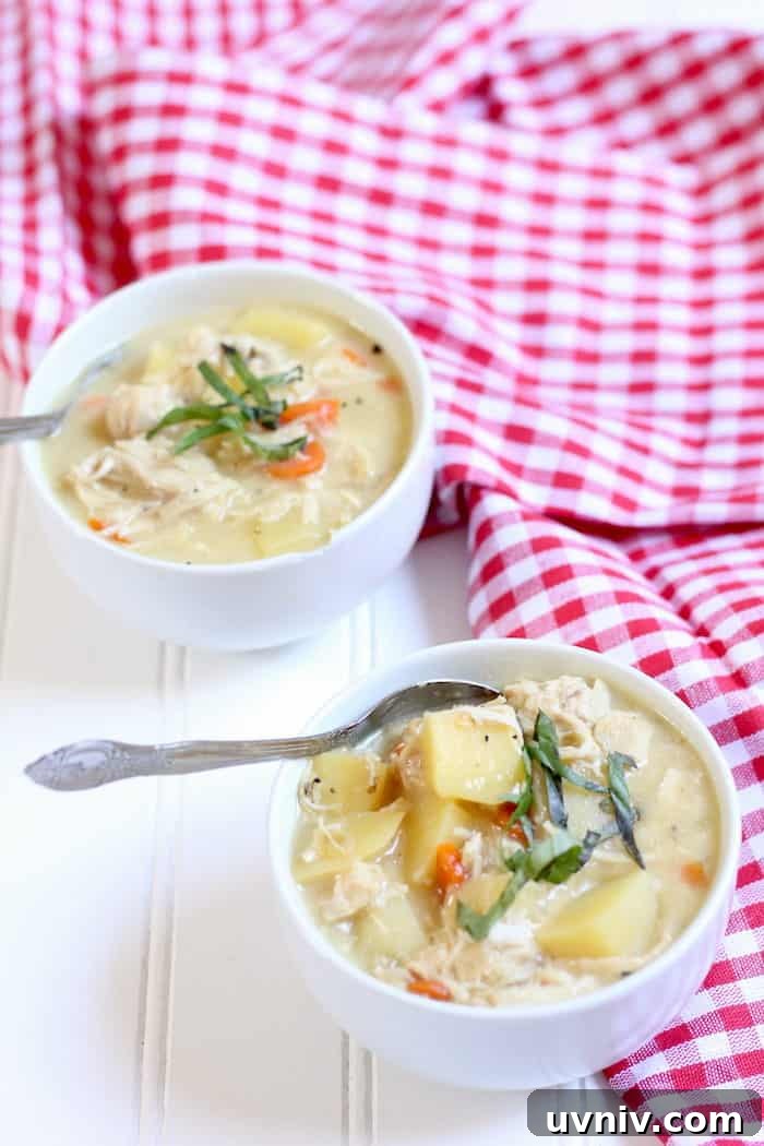 Photo shows two bowls of chicken soup on a table with a red and white tablecloth