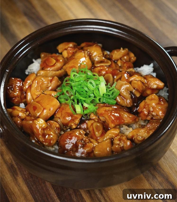 Ginger-Braised Chicken with Soy and Scallions Recipe 2 A high-resolution image shows ginger braised chicken served over white rice in a black ceramic bowl, garnished with chopped scallions. The glossy glaze of the chicken contrasts beautifully with the wooden surface beneath the bowl.