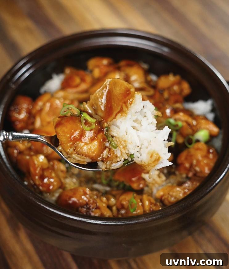 Ginger-Braised Chicken with Soy and Scallions Recipe 3 A spoonful of glossy, thick ginger braised chicken is being drizzled over a fresh bowl of steamed white rice, showcasing the final serving step.