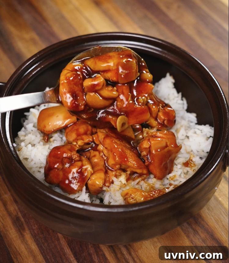 Ginger-Braised Chicken with Soy and Scallions Recipe 7 A spoonful of glossy, thick ginger braised chicken is being drizzled over a fresh bowl of steamed white rice, showcasing the final serving step.