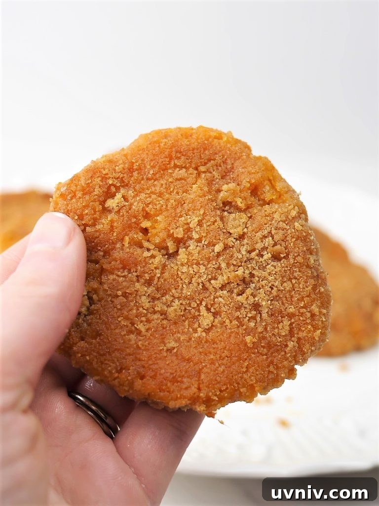 Amish Sweet Potato Patties Recipe: Crispy, Maple-Glazed Patties 6 img 12084 5