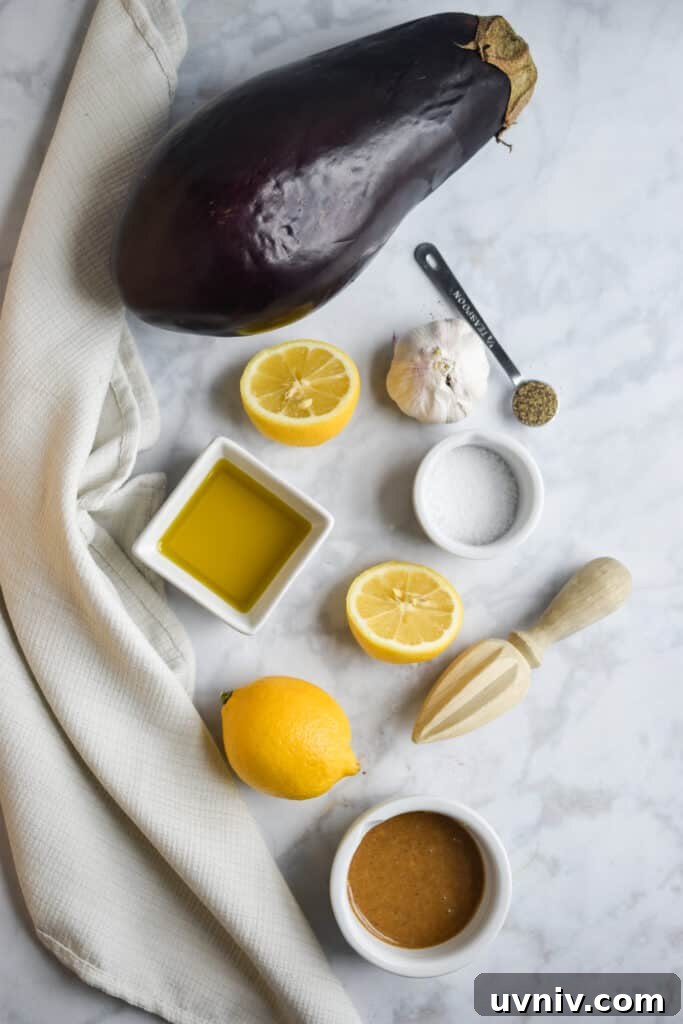 Roasted Garlic & Charred Eggplant Dip: Smoky Mediterranean Spread 3 All the ingredients for the roasted garlic and eggplant dip