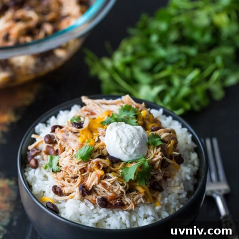 Slow Cooker Salsa Chicken Rice Bowls