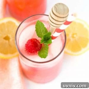Refreshing Homemade Raspberry Lemonade Recipe for Summer 7 img 12590 6