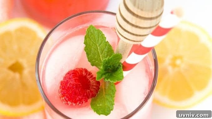 Refreshing Homemade Raspberry Lemonade Recipe for Summer 8 img 12590 7