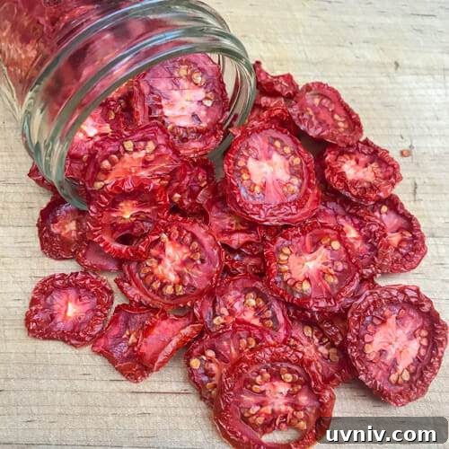 Store and Preserve Garden Tomatoes at Season’s End 7 dried tomatoes