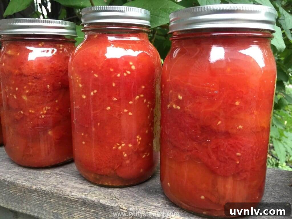 Store and Preserve Garden Tomatoes at Season’s End 8 canned tomatoes