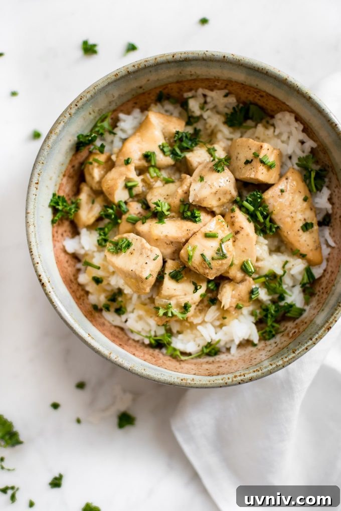 Honey Garlic Chicken in the Instant Pot: Quick Family Recipe 5 Instant Pot honey garlic chicken in a bowl over rice