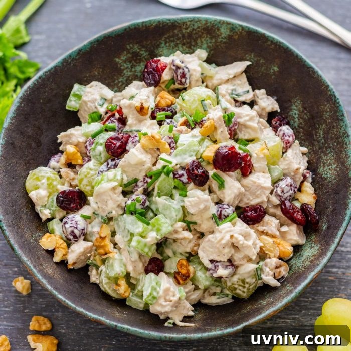 Mini Turkey Pot Pies for One: Comforting Individual Servings 10 Best Cranberry Walnut Chicken Salad