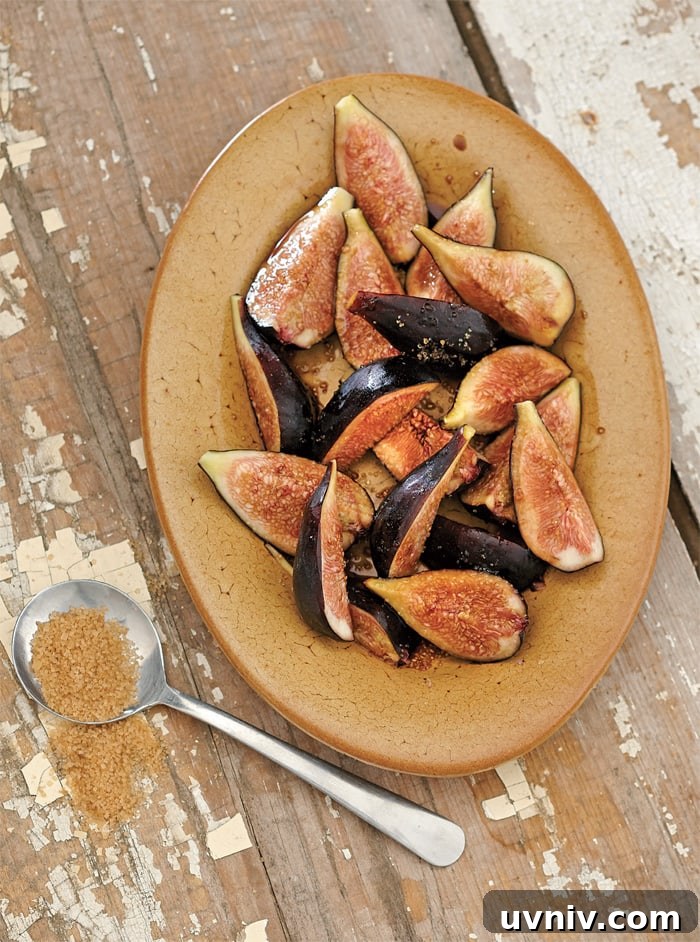 Balsamic Fig Shrub Recipe with Fresh Figs and Vinegar Infusion 2 Quick Balsamic Fig Shrub from Bitters and Shrub Syrup Cocktails by Warren Bobrow