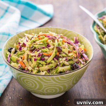 broccoli cabbage slaw