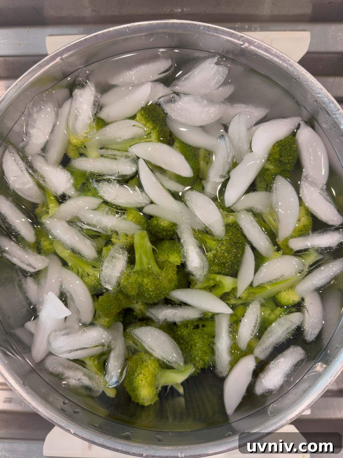 Bright green broccoli in an ice bath bowl of ice and water after steaming.