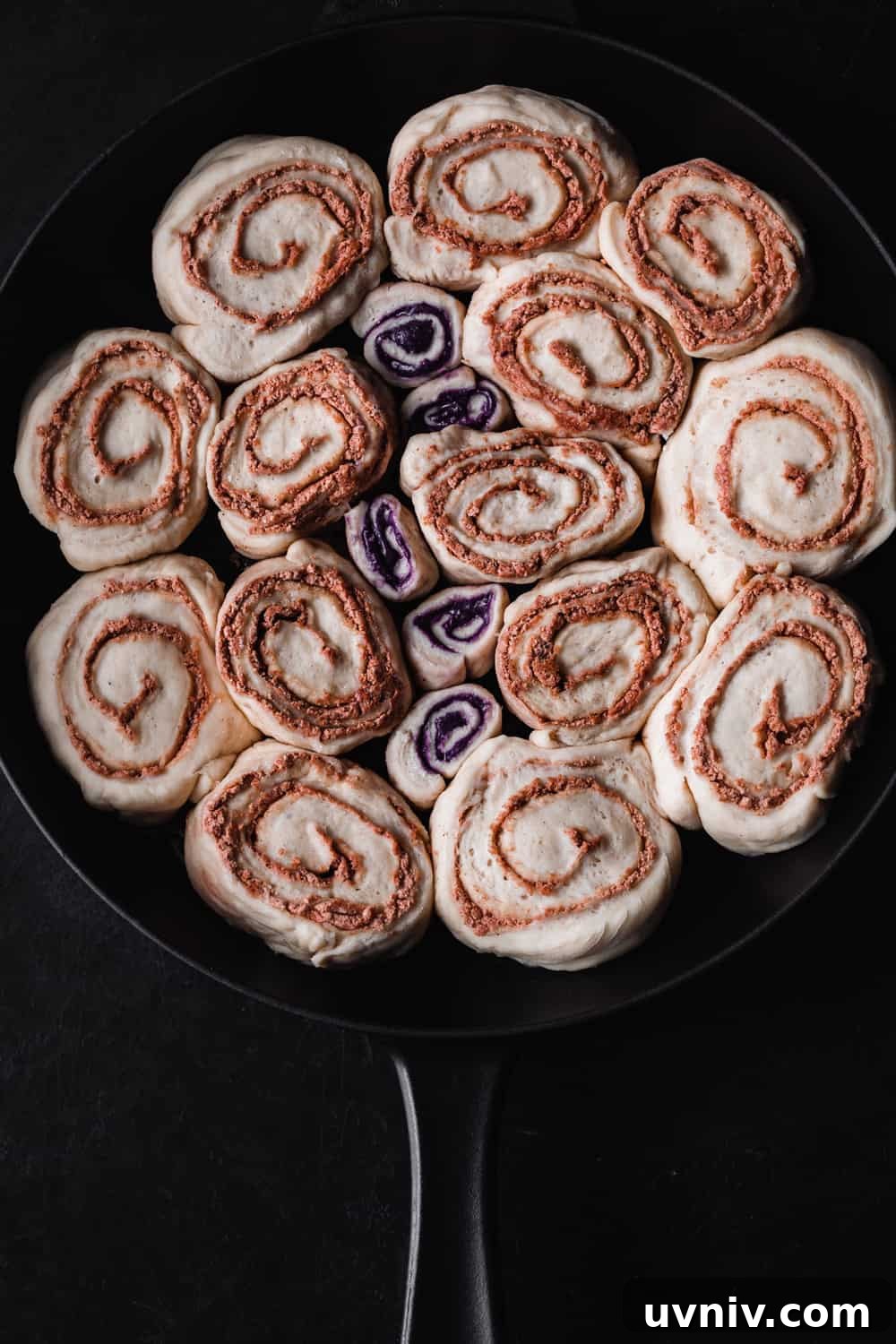 Cinnamon Rolls Made with Fluffy Challah Dough 3 Challah Cinnamon Rolls rising in a cast iron skillet; overhead shot on a black background.