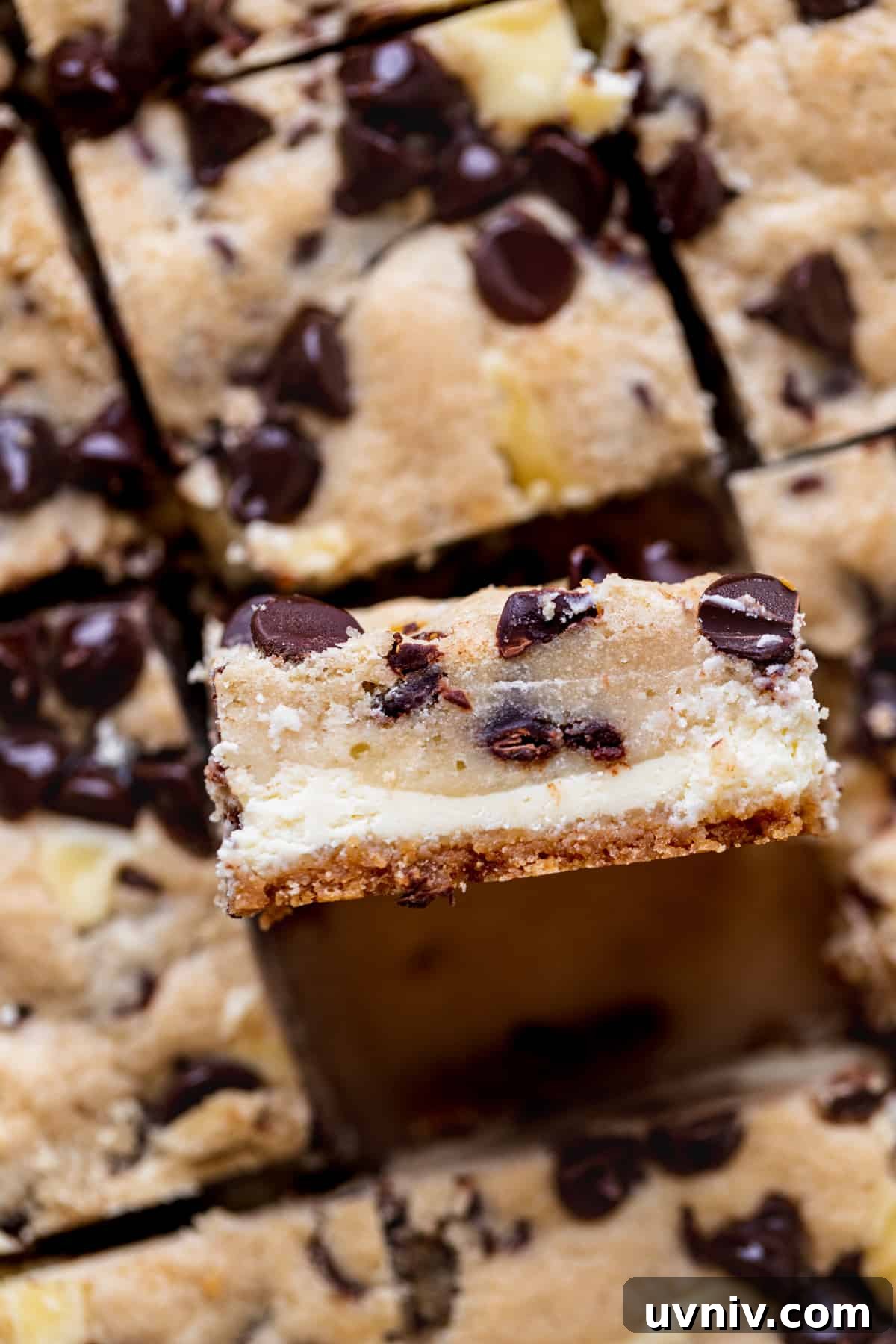 Cookie Dough Cheesecake Bars Recipe — No-Bake Dessert Bars 3 Side view of Cookie Dough Cheesecake Bars.