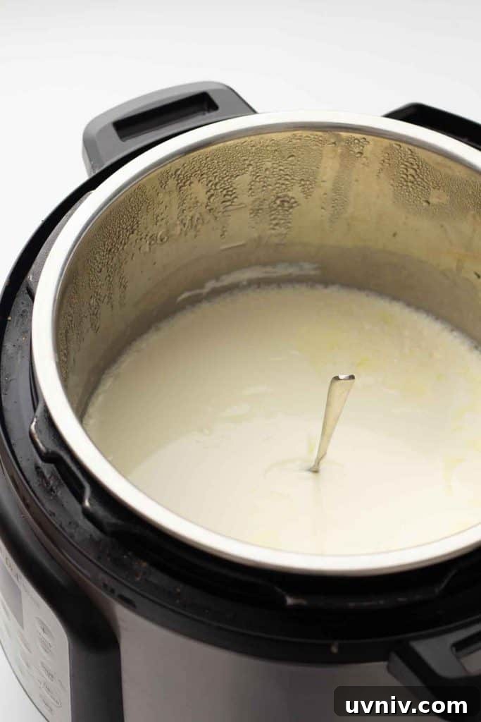 Instant Pot Yogurt Recipe: Make Yogurt with Sous Vide or Yogurt Mode 11 Yogurt after being chilled in the fridge.