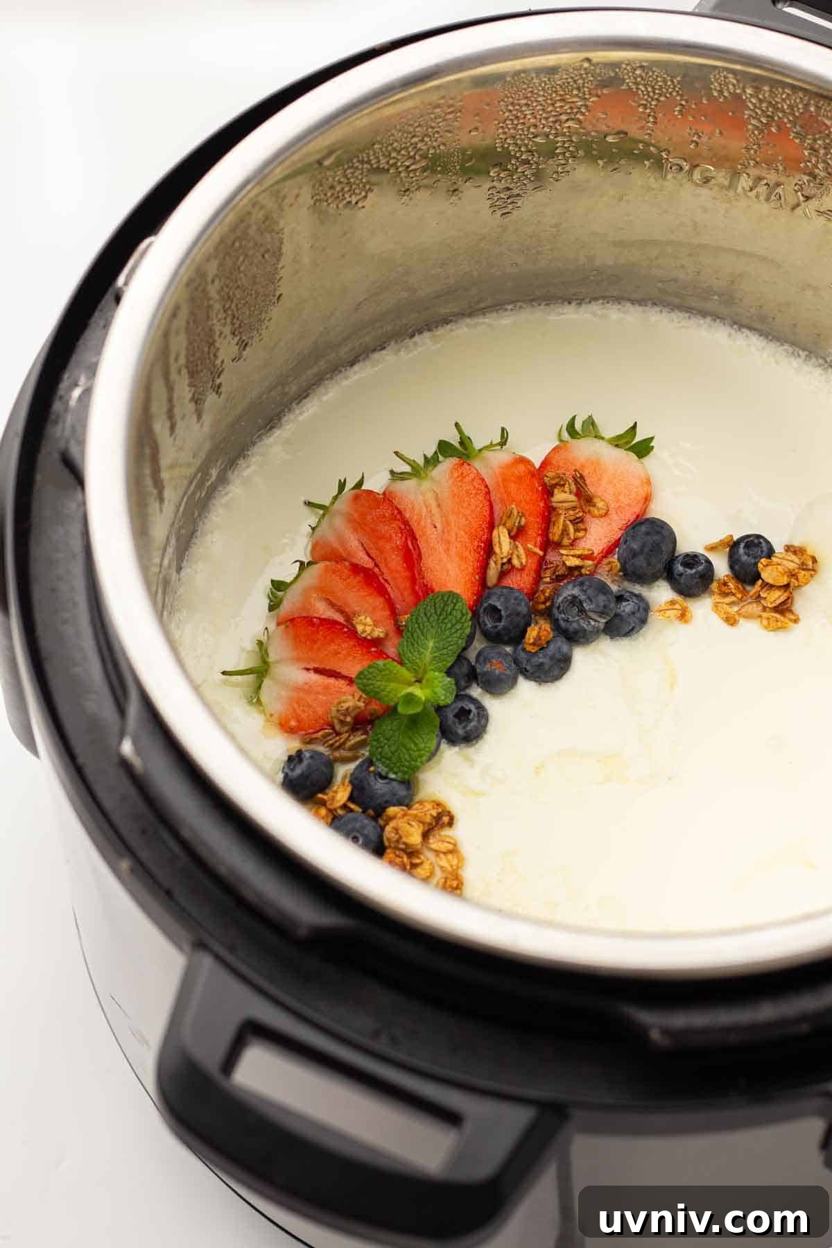 Instant Pot Yogurt Recipe: Make Yogurt with Sous Vide or Yogurt Mode 12 Instant pot yogurt with berries and granola.