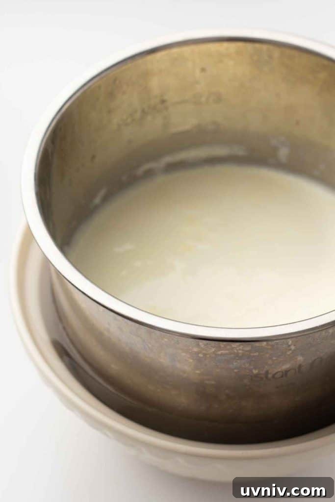Instant Pot Yogurt Recipe: Make Yogurt with Sous Vide or Yogurt Mode 5 Instant pot liner with the milk transferred to a bowl of cold water to cool.