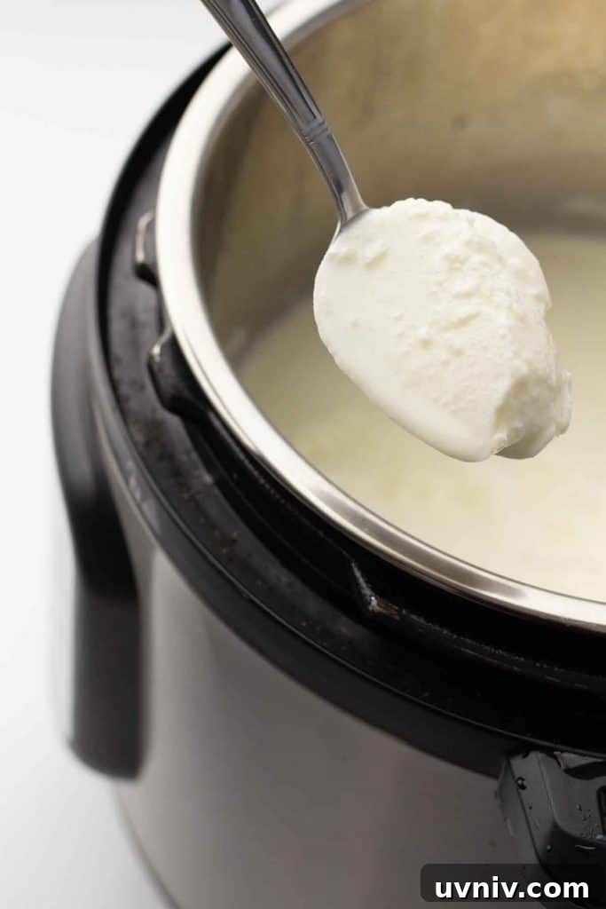 Instant Pot Yogurt Recipe: Make Yogurt with Sous Vide or Yogurt Mode 6 Yogurt added to the milk in the Instant Pot.