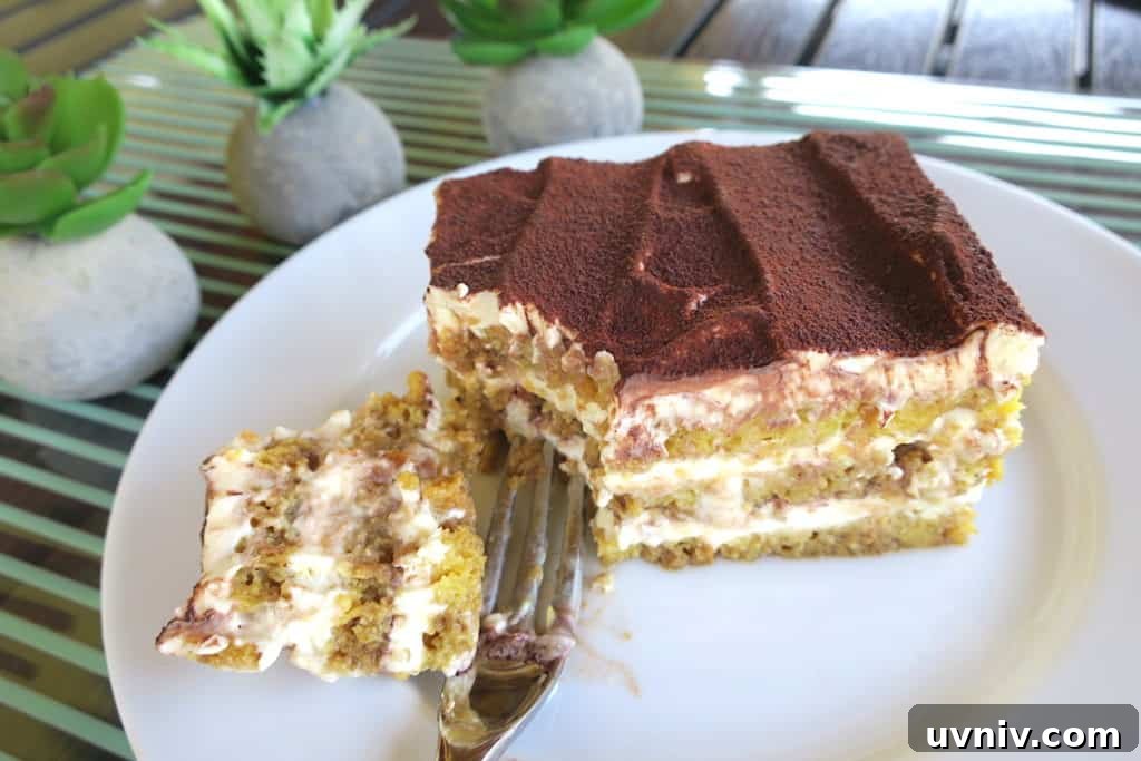 Sugar-Free Low-Carb Keto Tiramisu Recipe for Diabetics 2 sugar free low carb keto tiramisu