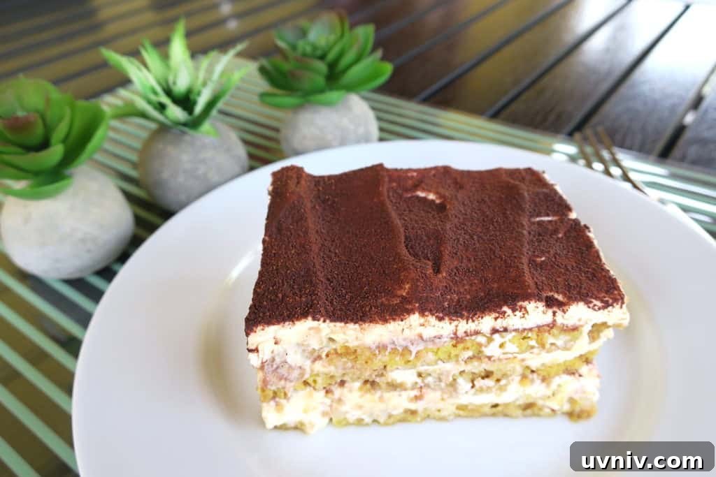 Sugar-Free Low-Carb Keto Tiramisu Recipe for Diabetics 3 sugar free low carb keto tiramisu