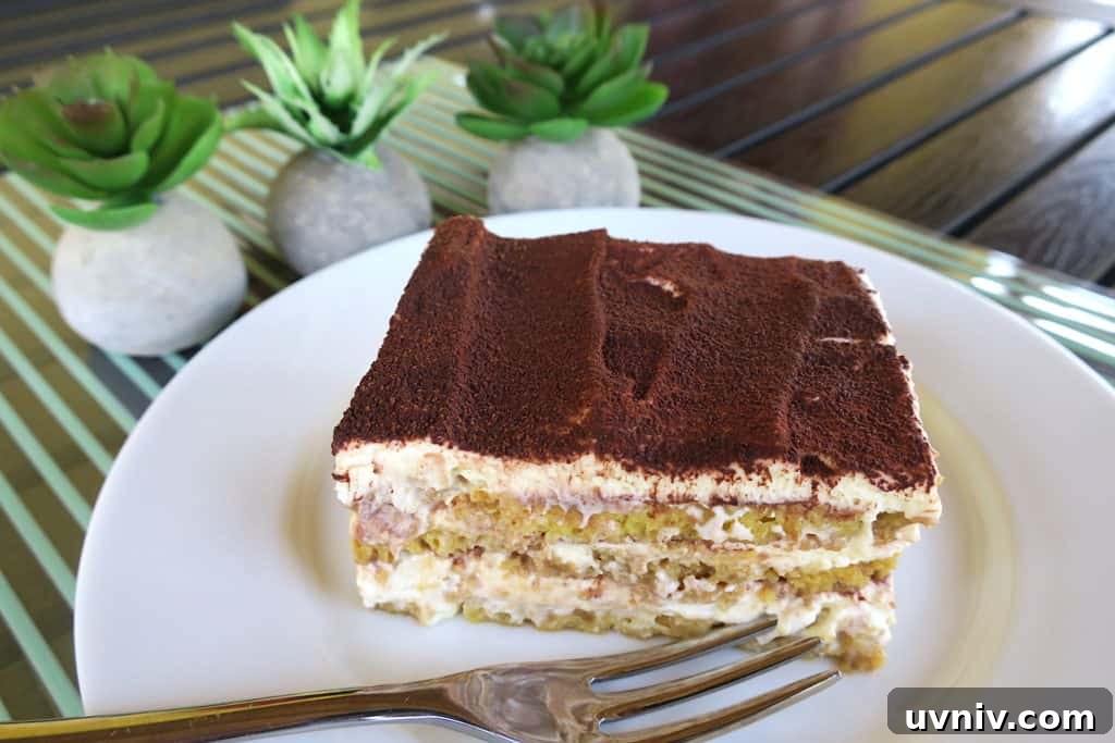 Sugar-Free Low-Carb Keto Tiramisu Recipe for Diabetics 6 sugar free low carb keto tiramisu