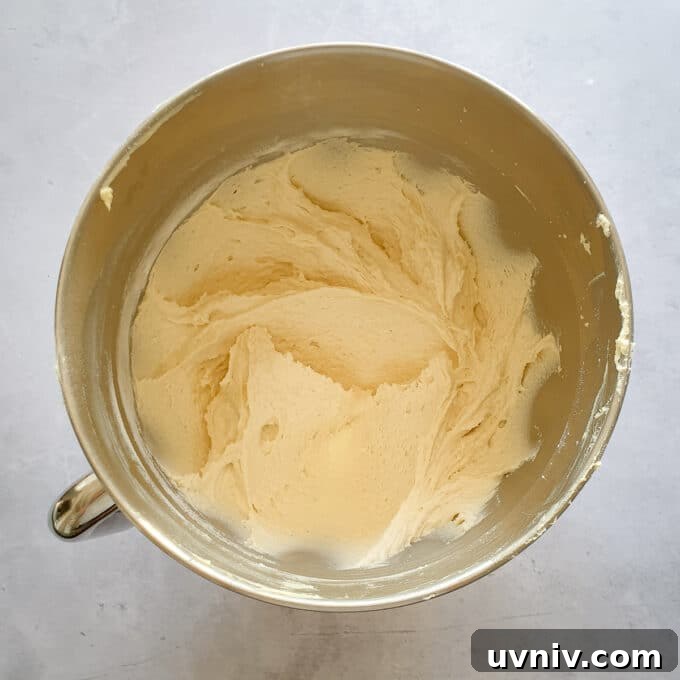 Vegan Fairy Cakes Recipe: Light, Fluffy Mini Cupcakes 4 img 14920 3