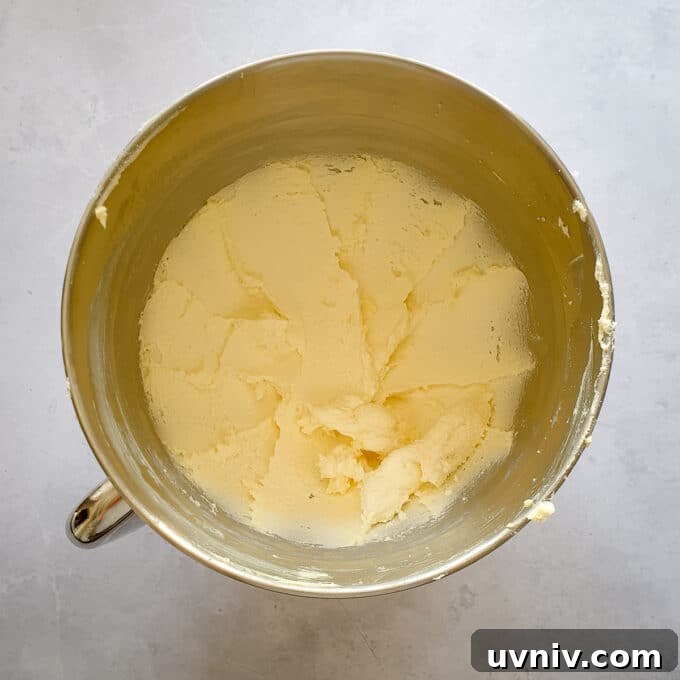 Vegan Fairy Cakes Recipe: Light, Fluffy Mini Cupcakes 5 img 14920 4