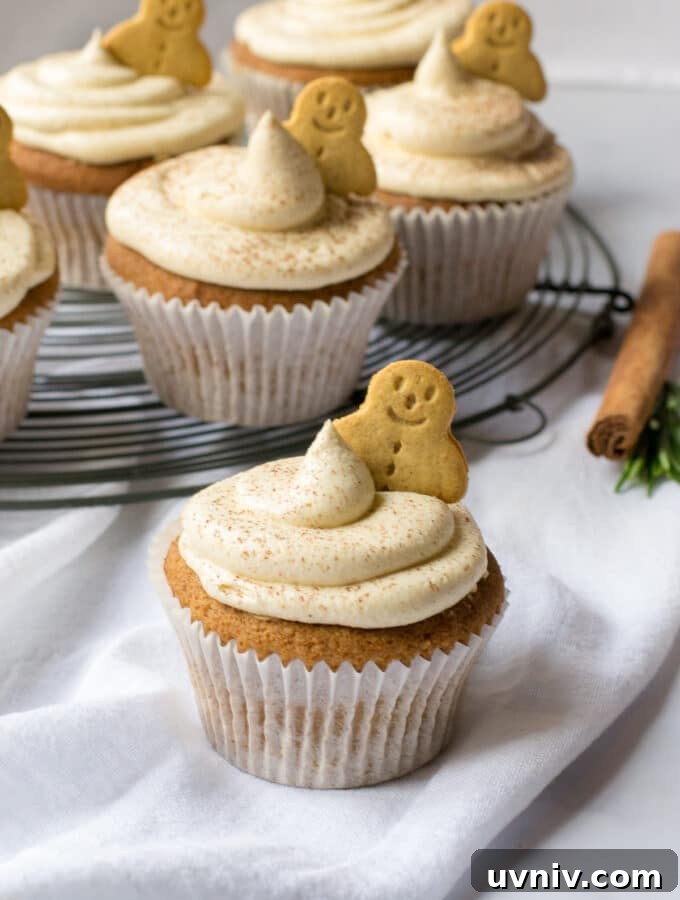 Vegan Fairy Cakes Recipe: Light, Fluffy Mini Cupcakes 8 Vegan Gingerbread Cupcakes