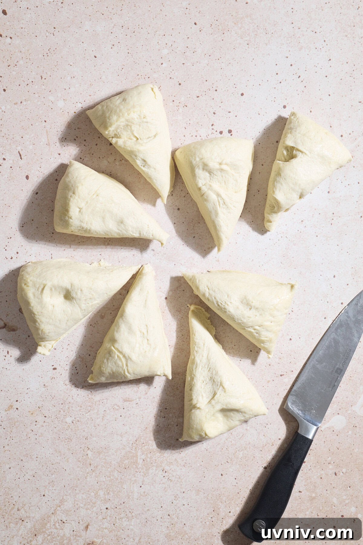 Dough divided into 8 pieces.