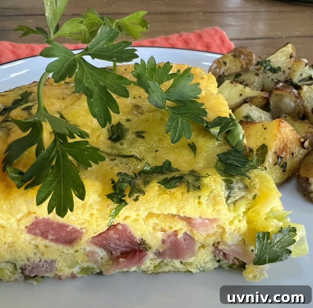 Close up of a slice of cheese and ham frittata with parsley sprig garnish and roasted potatoes in background.